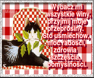 Kot z białym kwiatem i przeprosinami